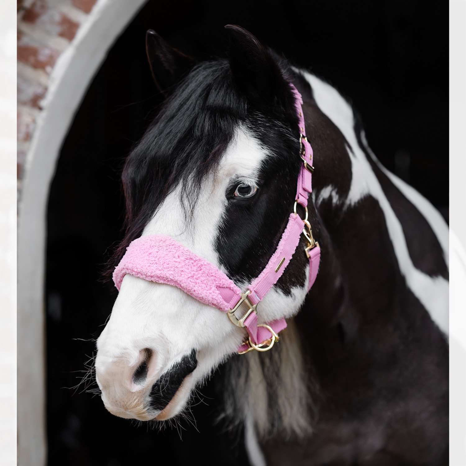 Grime Levanto JH Collection®