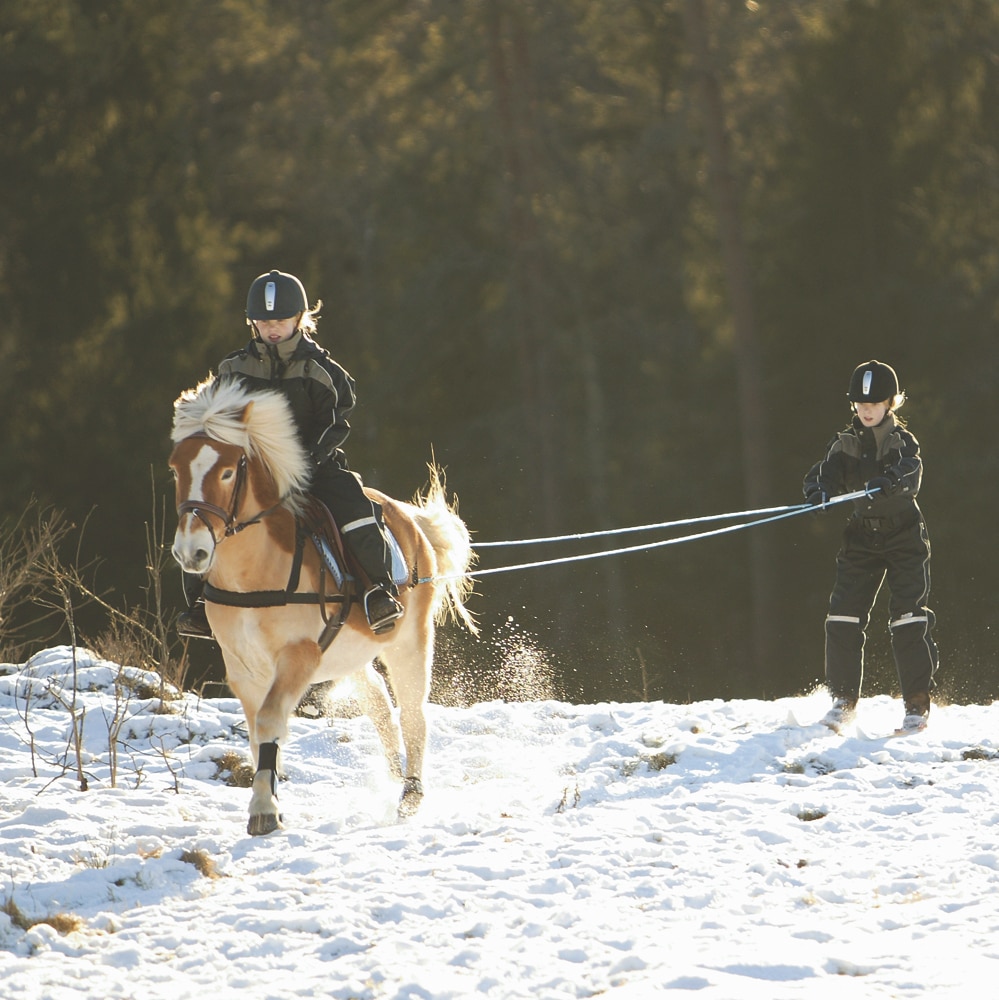 Snørekjøringssele Pony  Fairfield®