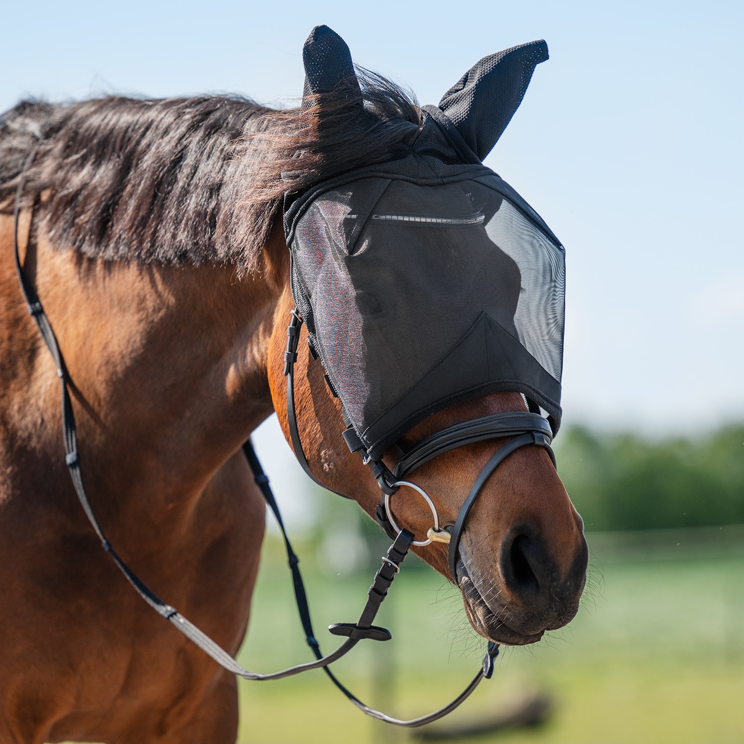 Fluemaske  Everglade Rider EquiXpert®