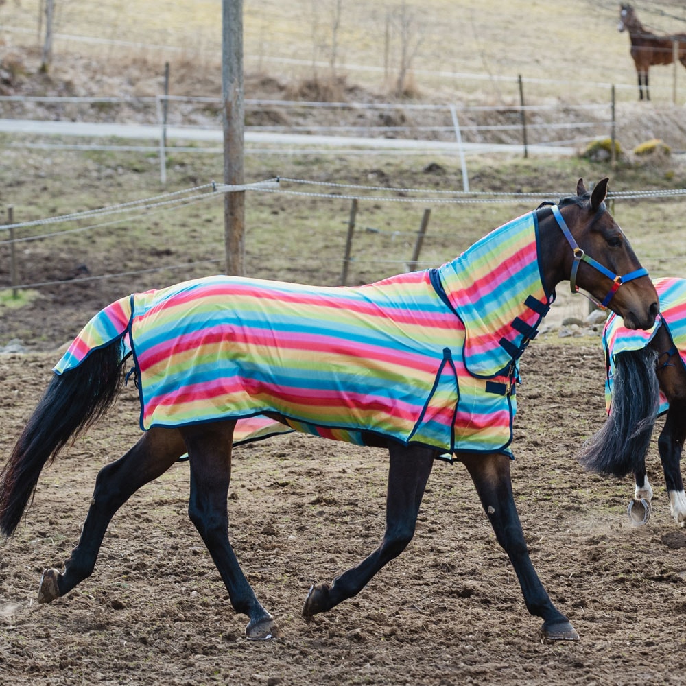 Fluedekken  Rainbow Fairfield®