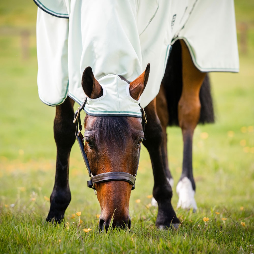 Eksemdekken  Rambo Hoody Horseware®