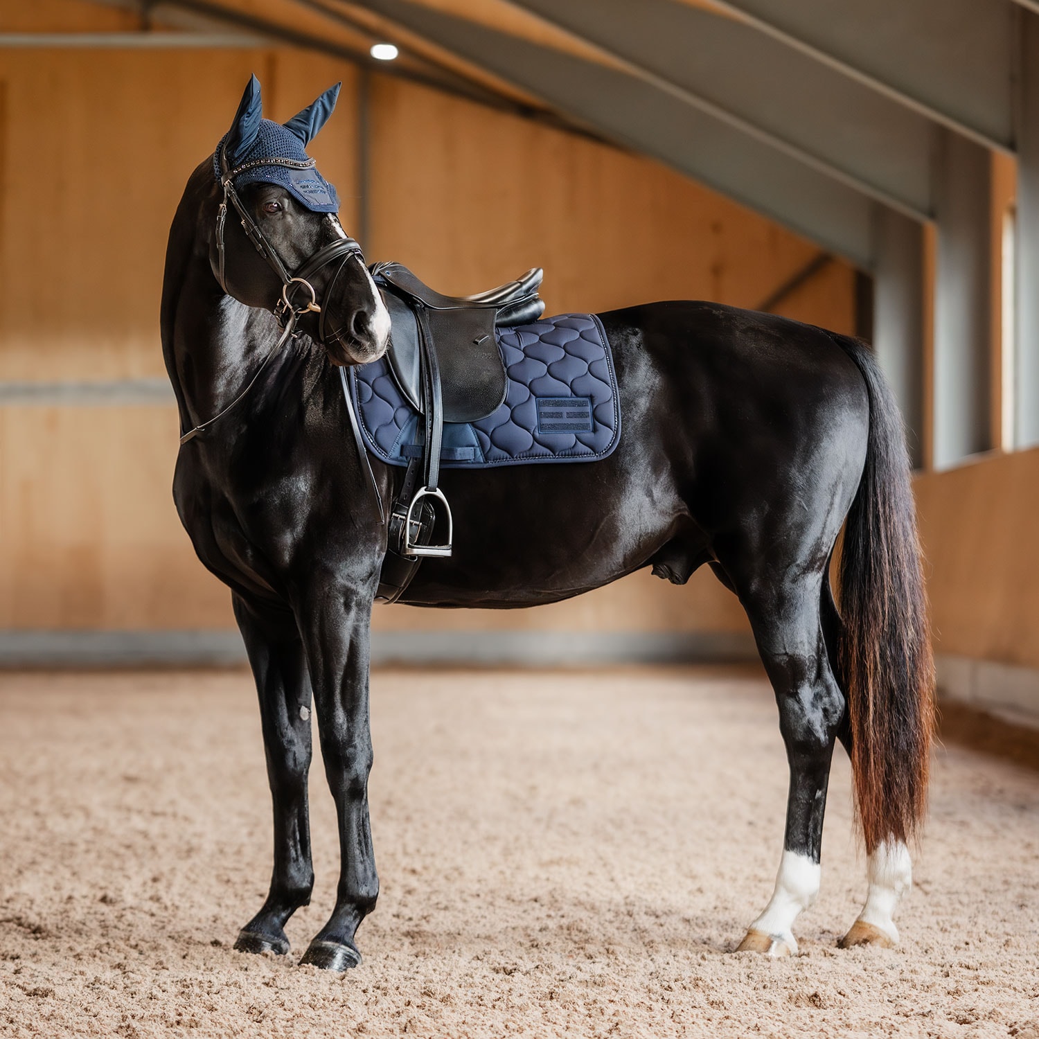 Hette  Midnight Fairfield®