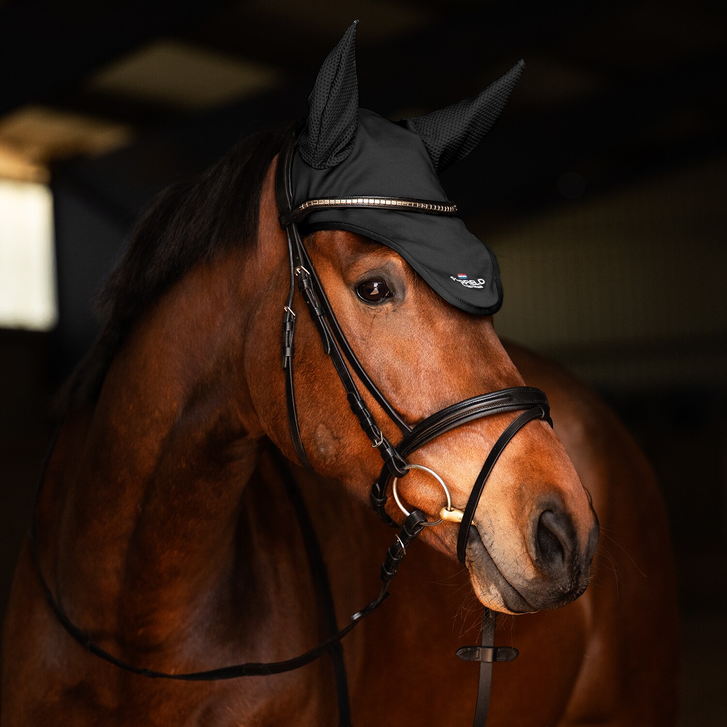 Hette  Hickstead Fairfield®