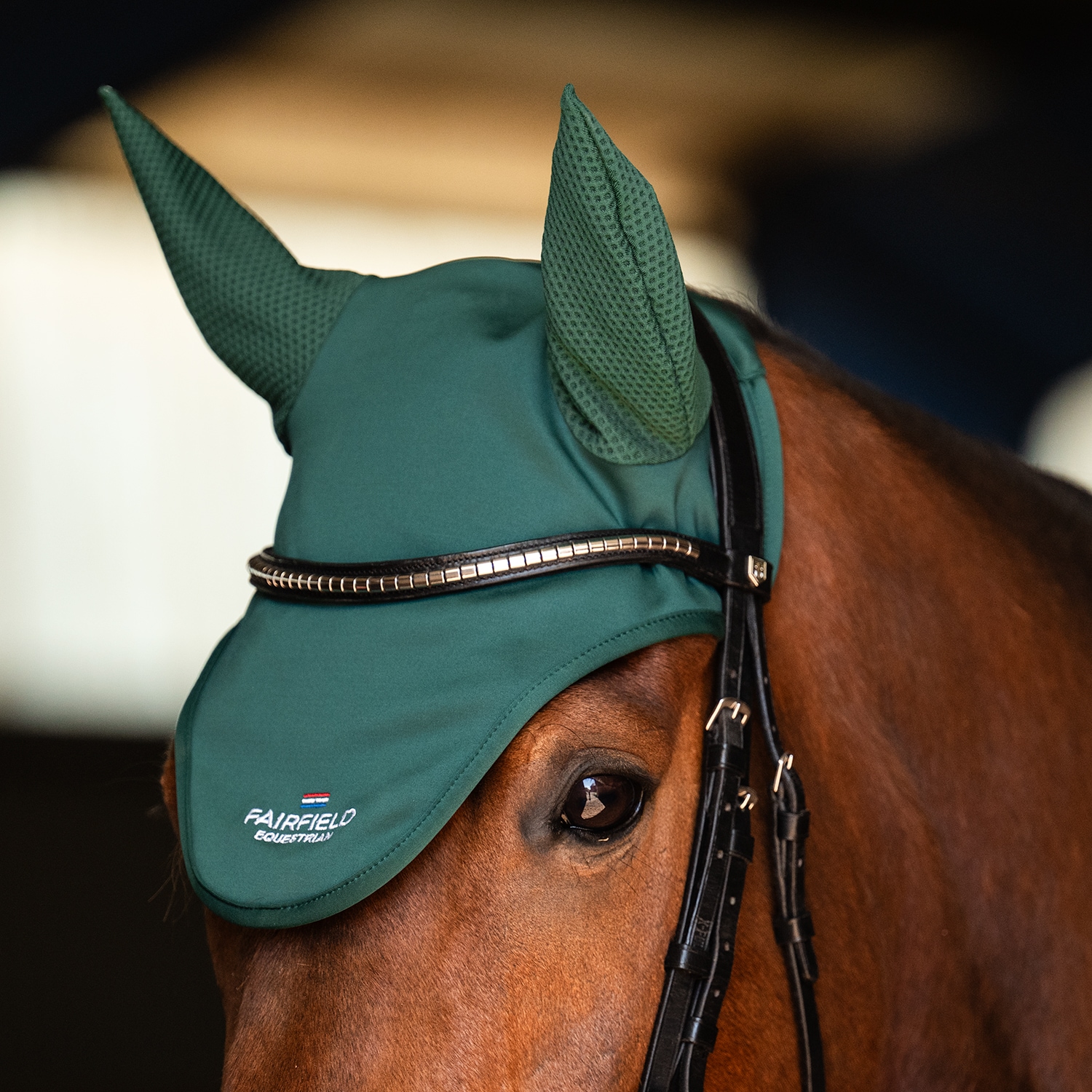 Hette  Hickstead Fairfield®
