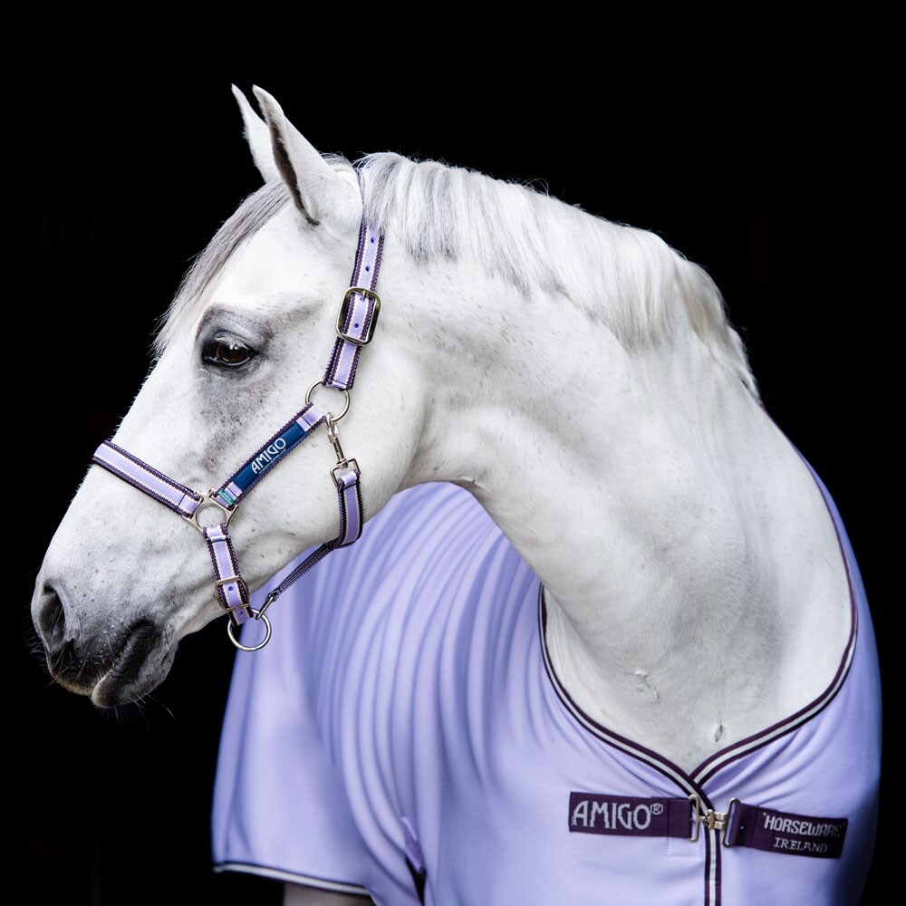 Stalldekken  Amigo Jersey Cooler Horseware®