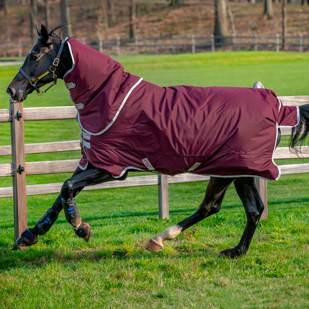 Utedekken  Amigo Hero Ripstop Plus 200 Horseware®