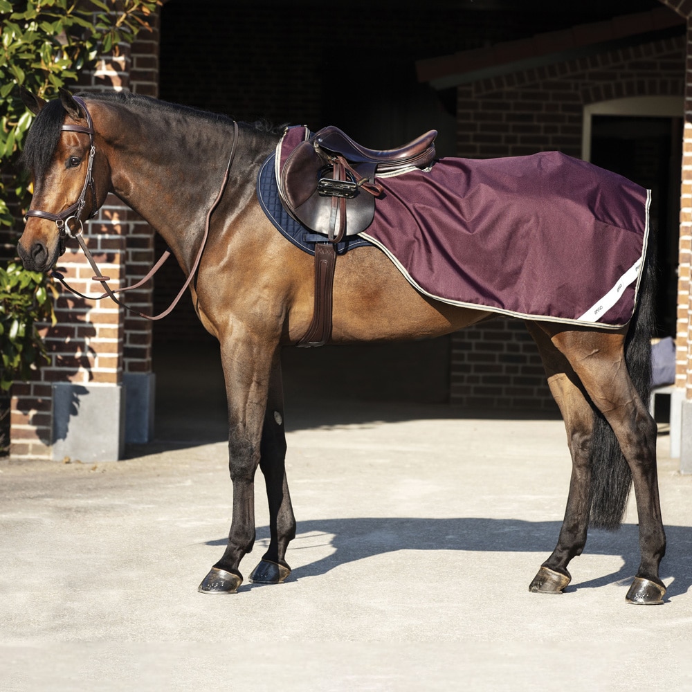 Ridedekken  Amigo Competition Sheet Horseware®