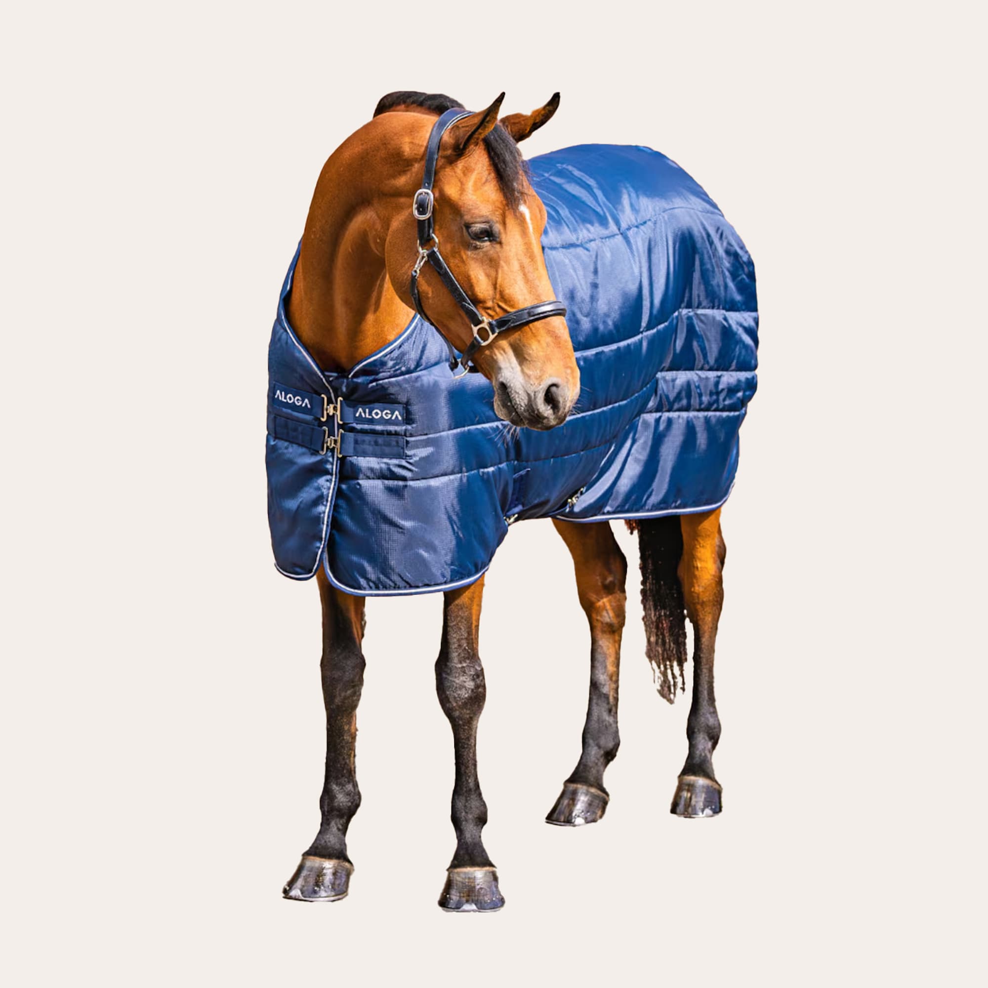 Stalldekken Stable Blanket 150g Aloga Equestrian