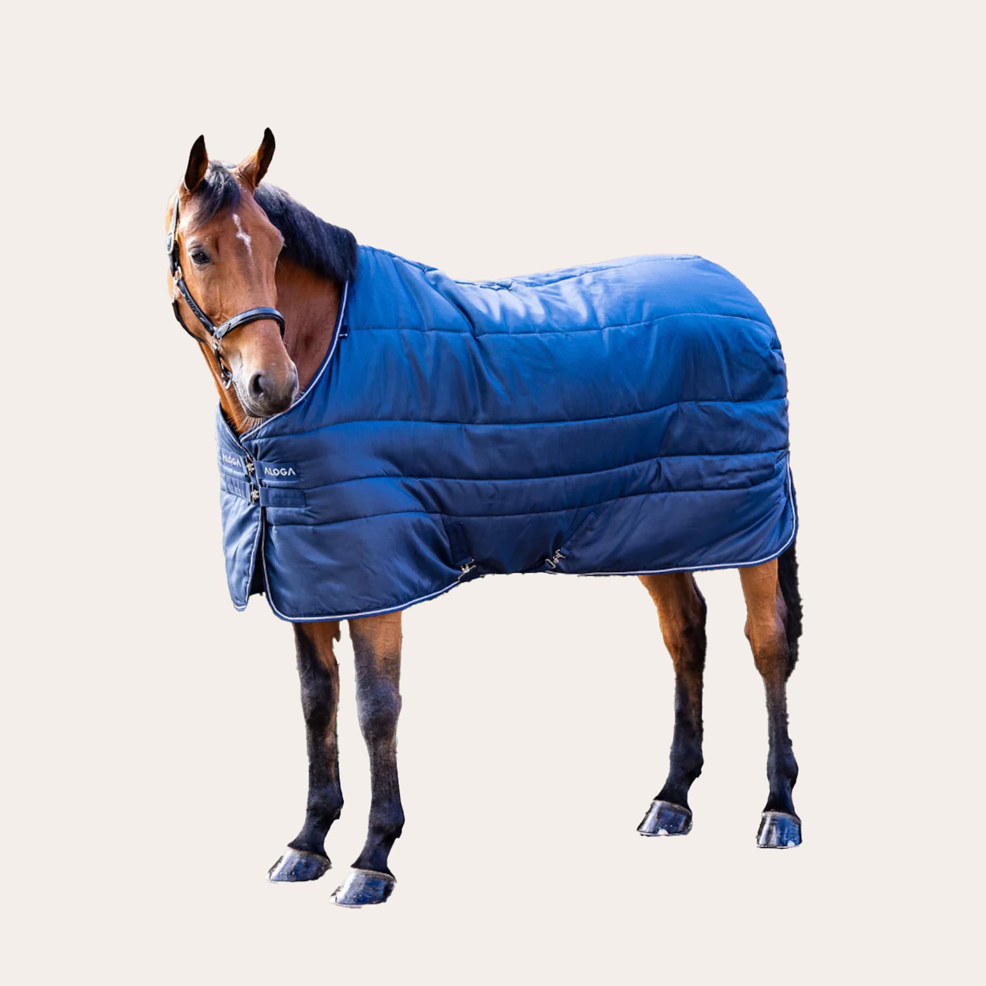 Stalldekken Stable Blanket 150g Aloga Equestrian