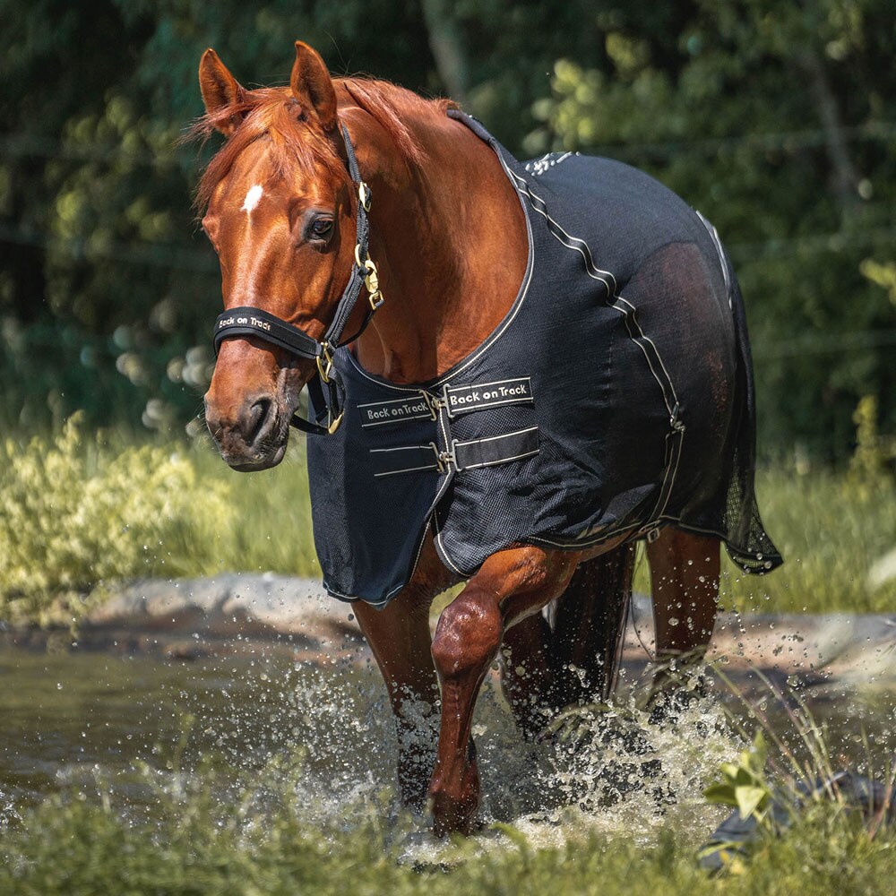 Svettedekken  Sienna Back on Track®