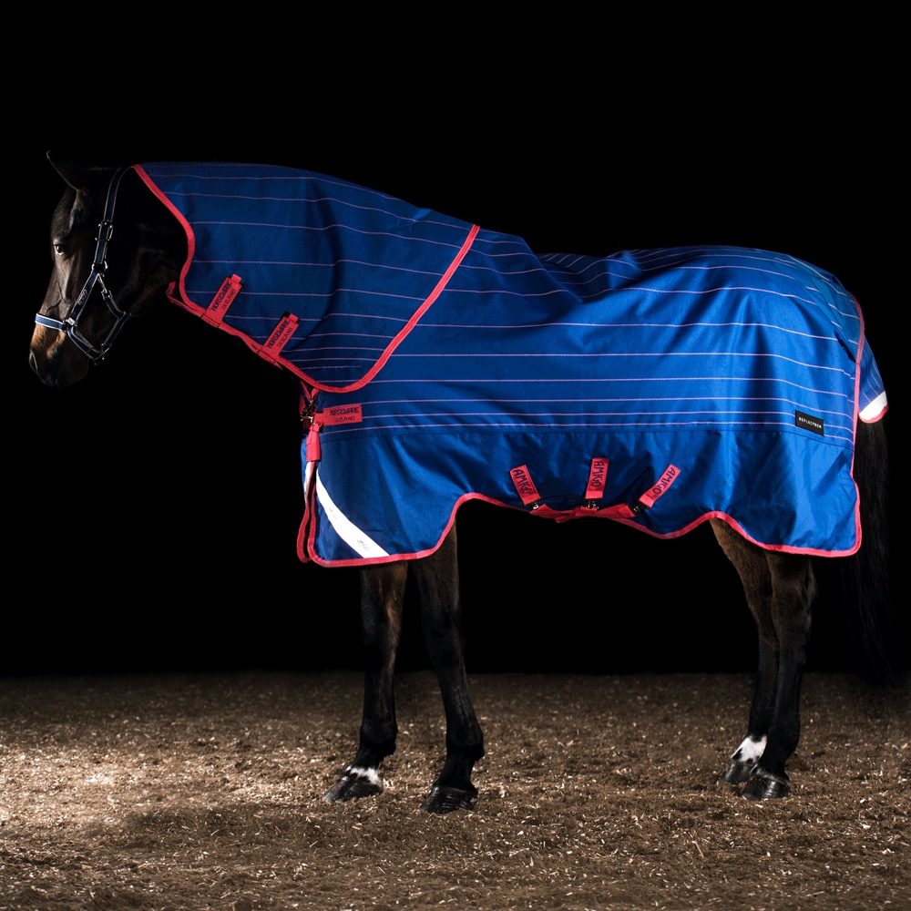 Vinterdekken  Amigo Bravo Reflectech Plus 250 Horseware®