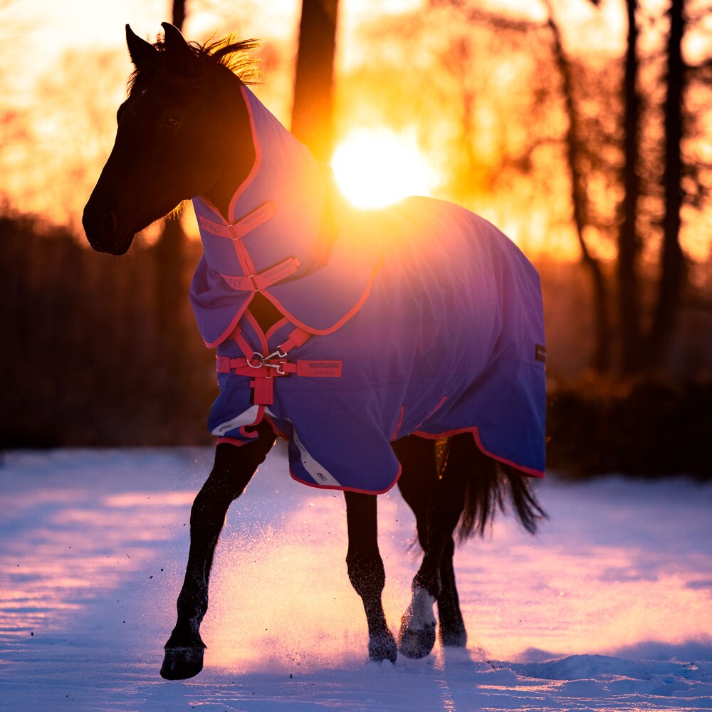 Vinterdekken  Amigo Bravo Reflectech Plus 250 Pony Horseware®