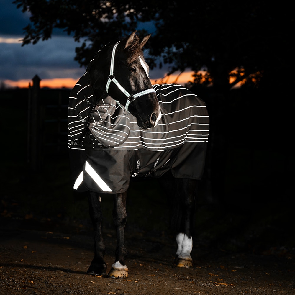 Utedekken 100 g Amigo Bravo 12 Reflectech Plus Turnout Horseware®