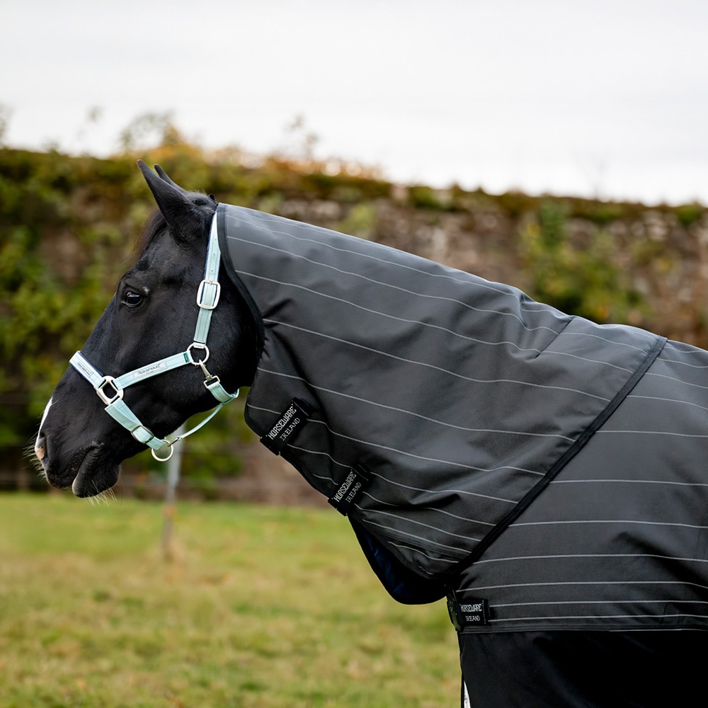 Utedekken 100 g Amigo Bravo 12 Reflectech Plus Turnout Horseware®
