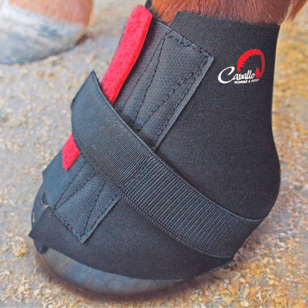   Pastern Wraps Cavallo