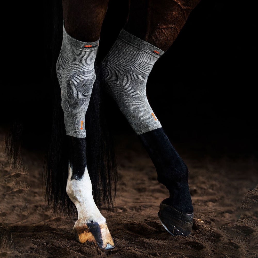 Bandasje  Circulation Hoof Sock Incrediwear Equine