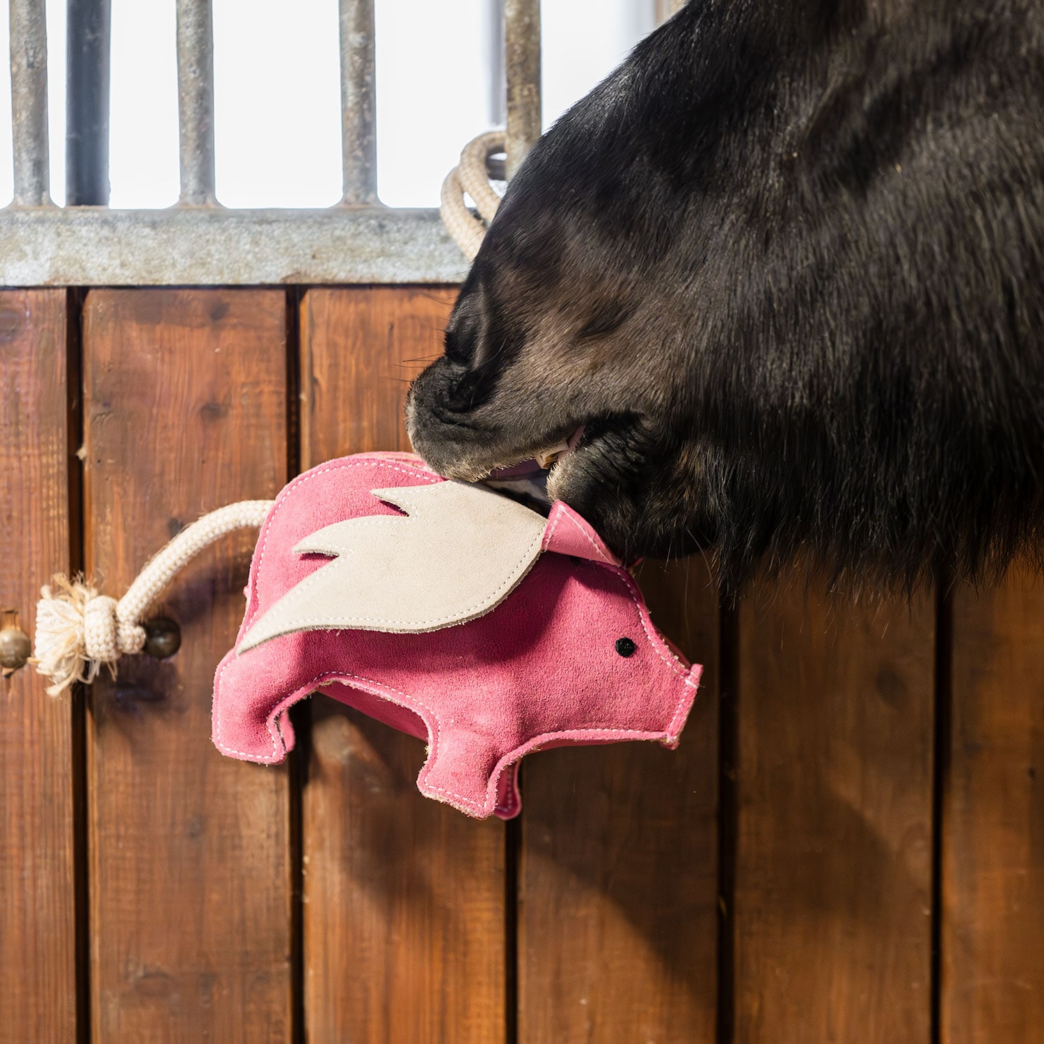 Boksleketøy Pig Hööks