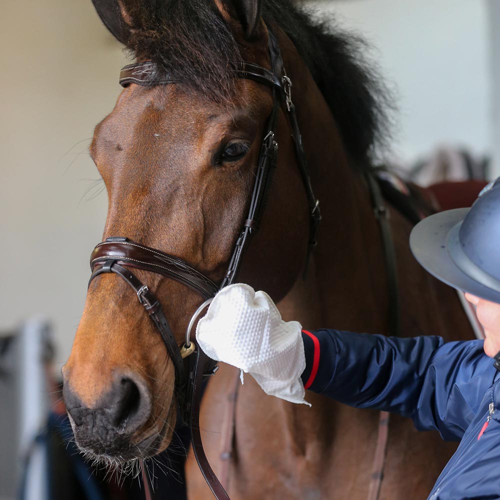 Pussevott  Belvoir Tack Cleaning Mit Carr & Day & Martin