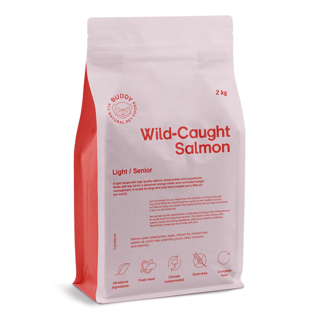 Hundefôr 2 kg Wild-Caught Salmon BUDDY