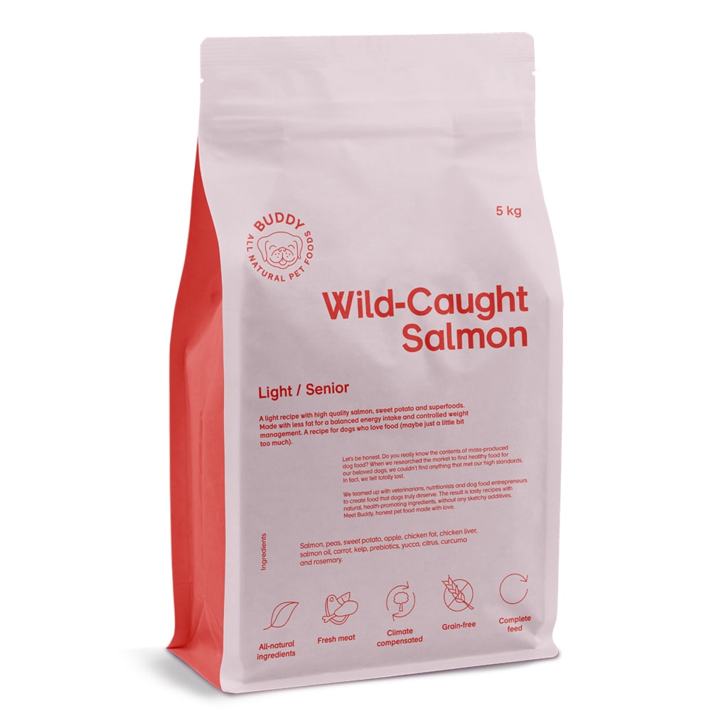 Hundefôr 5 kg Wild-Caught Salmon BUDDY