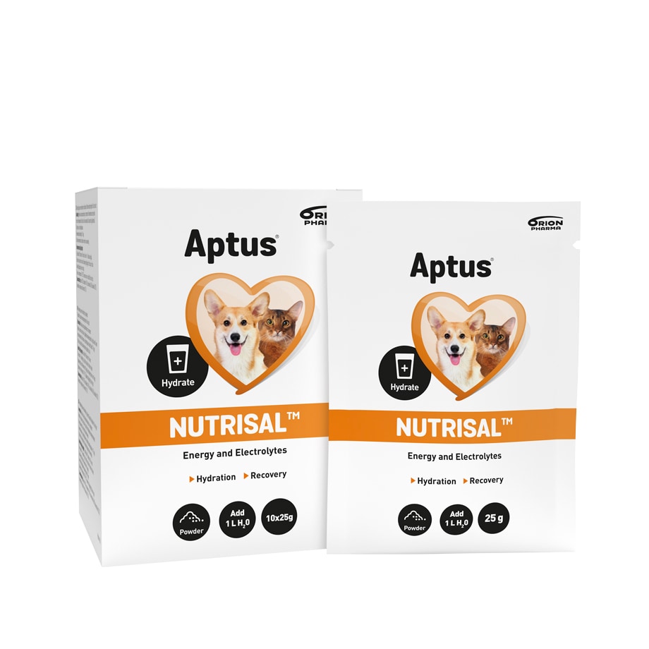 Kompletteringfôr  Nutrisal 10 x 25 g Aptus