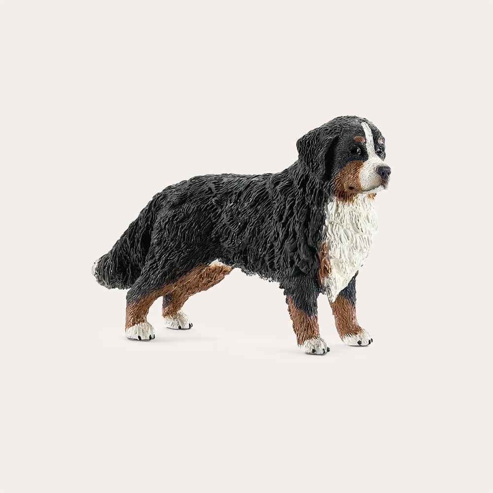 Leketøy  Bernese mountain Dog Female Schleich