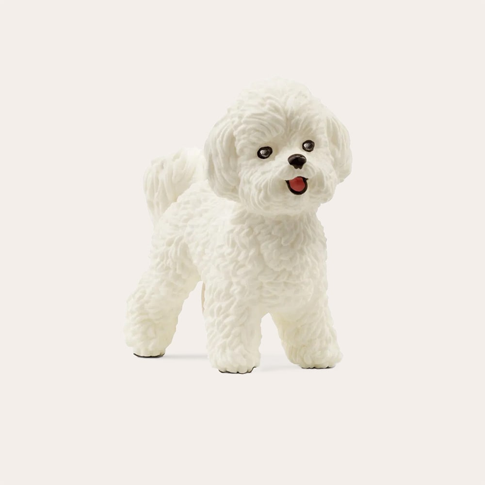 Leketøy Bichon Frisé Schleich