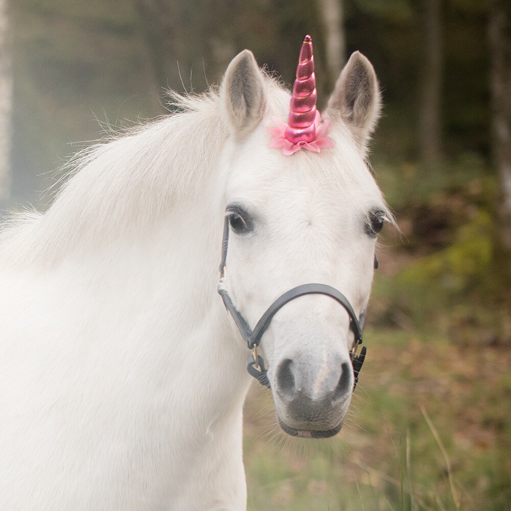 Spenne  Unicorn 