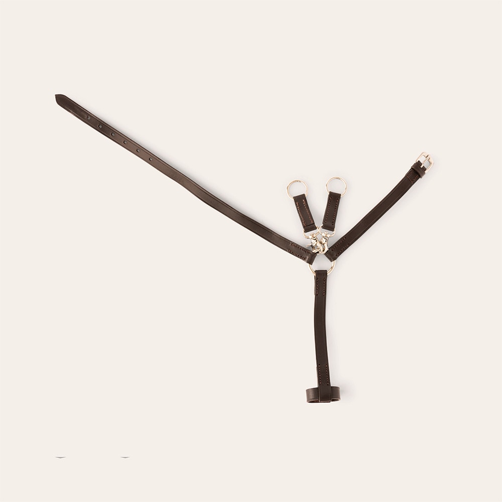 Kjepphest Clifden Mini Martingale Hööks