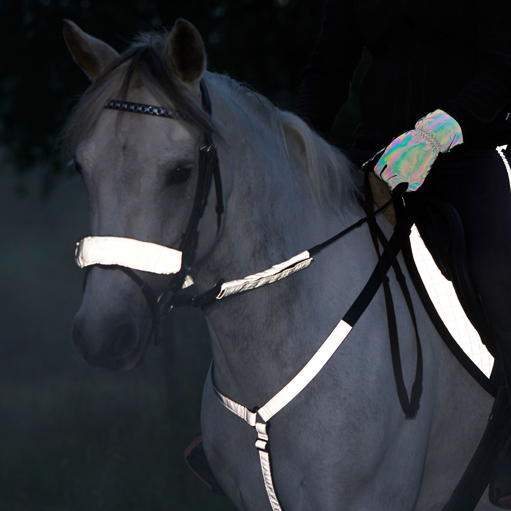 Neserefleks  Bright rider Fairfield®