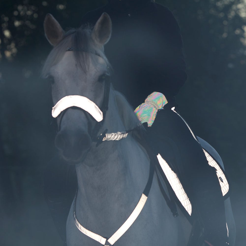 Neserefleks  Bright rider Fairfield®